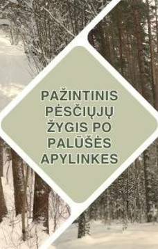 Pažintinis pėsčiųjų žygis po Palūšės apylinkes 