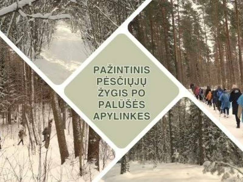 Pažintinis pėsčiųjų žygis po Palūšės apylinkes 